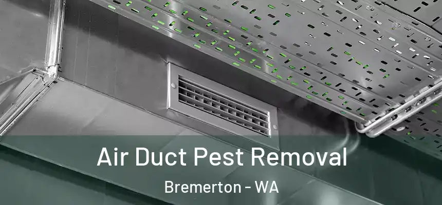  Air Duct Pest Removal Bremerton - WA