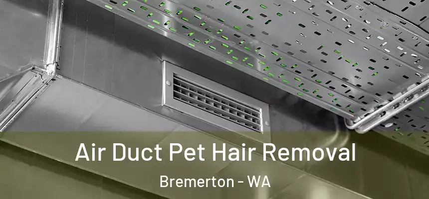  Air Duct Pet Hair Removal Bremerton - WA