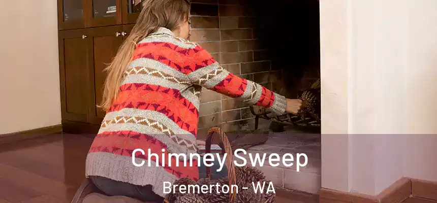  Chimney Sweep Bremerton - WA