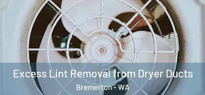  Excess Lint Removal from Dryer Ducts Bremerton - WA
