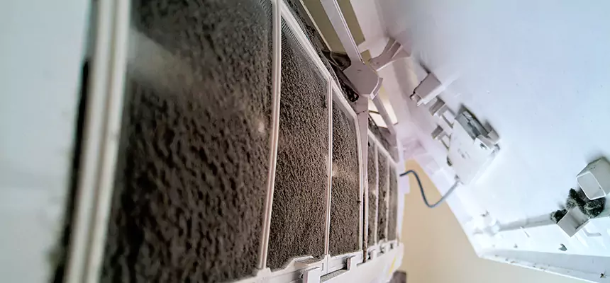 Preventive Air Duct Bacteria Removal in Bremerton