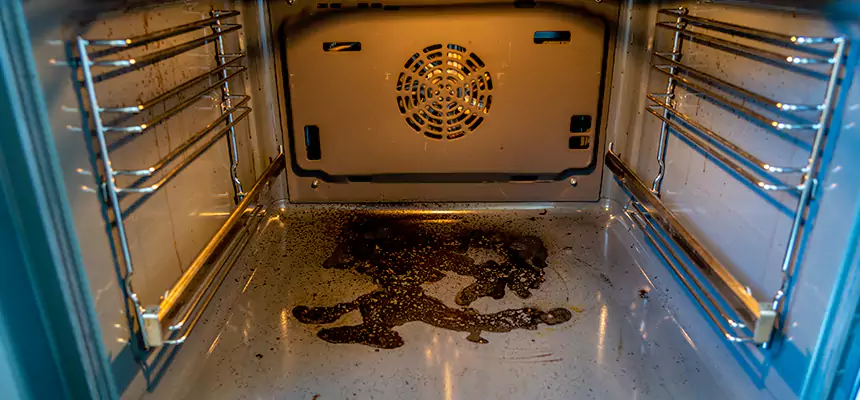 Our Dryer Vent Mold Cleaning Services in Bremerton, WA