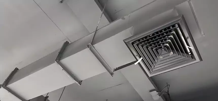 Our Rodent Droppings In Vents Services in Bremerton, WA