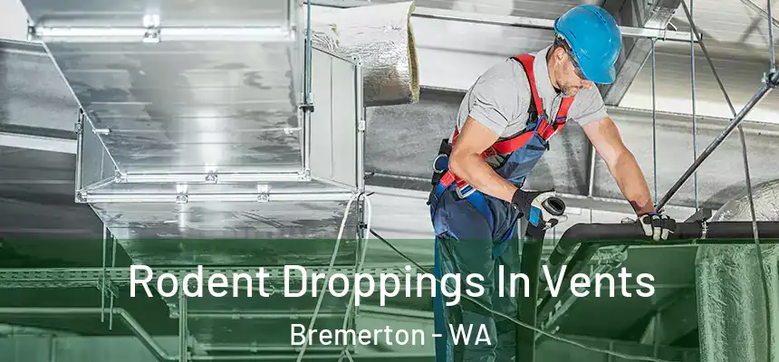  Rodent Droppings In Vents Bremerton - WA