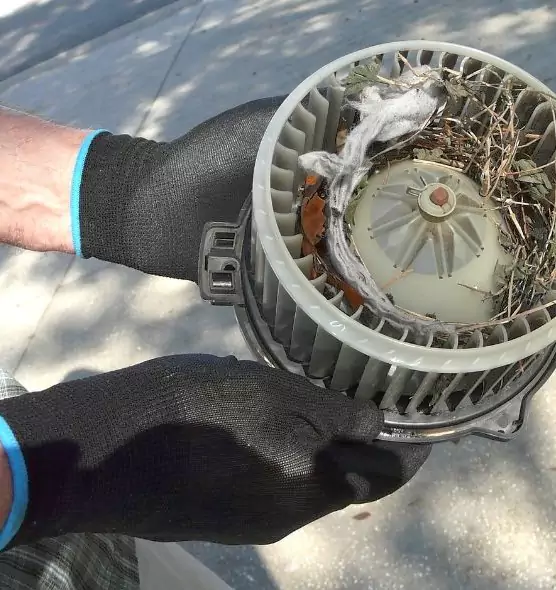 About Air Duct Rat Removal in Bremerton, WA