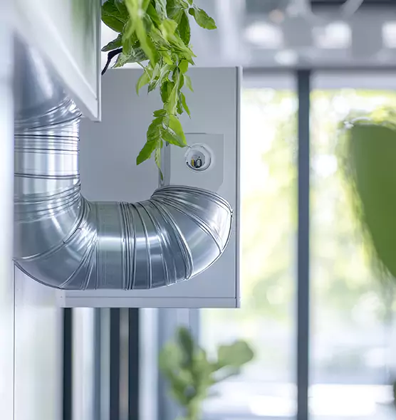 Professional Eco-Safe Dryer Vent Cleaning in Bremerton, WA