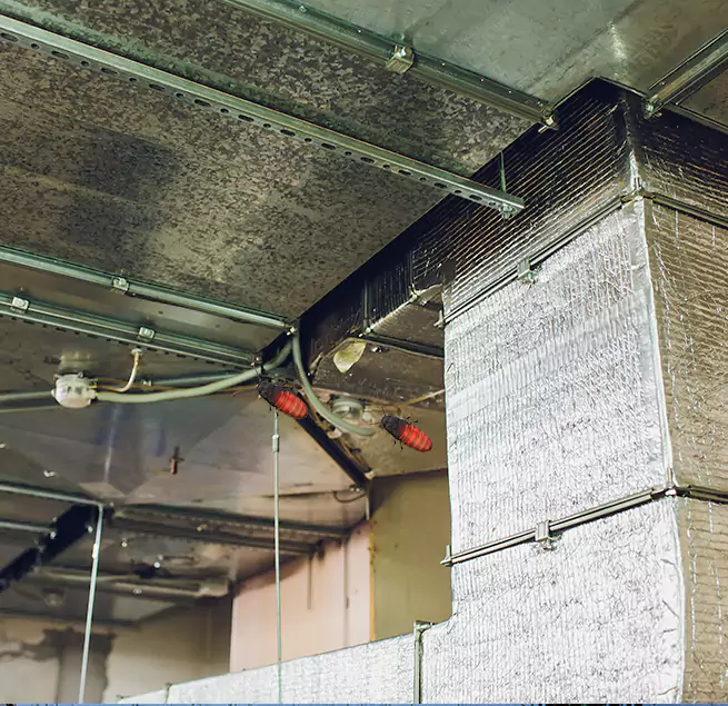 Why Homeowners & Businesses Trust Us in Bremerton, WA?