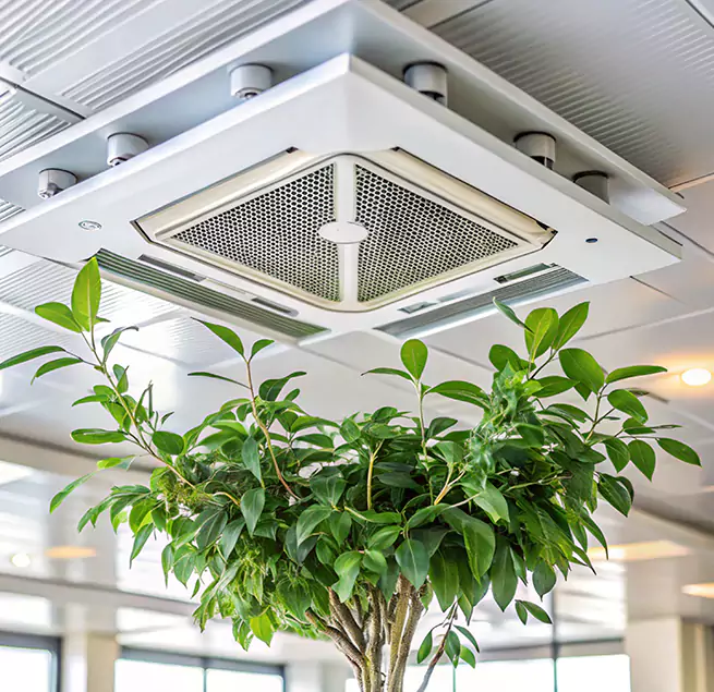 Why Homeowners & Businesses Trust Us in Bremerton, WA?